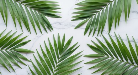 Obraz premium Green palm fronds neatly arranged on a white marble surface showcasing their vibrant color and elegant form against subtle grey veins