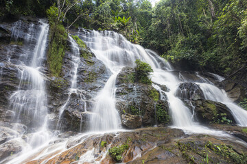 Obraz premium Powerful waterfall cascades through lush green rainforest, its clear water flowing over dark rock. natural environment portrays serene, tranquil jungle scene, perfect for outdoor adventure