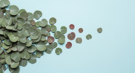 Round green and reddish-brown leaves are scattered on a light blue background denser on the left and sparse on the right