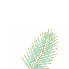 Palm Leaf Pastel Blue-Green with Gold Accents 50
