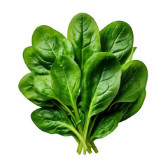  a group of spinach leaves isolated on white and transparent background