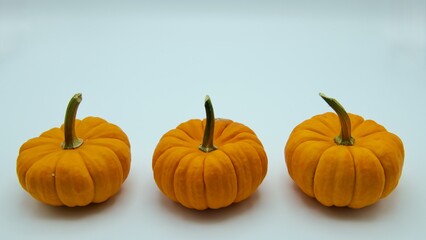 three pumpkins for the holidays 