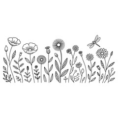 black wildflower field