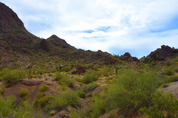 Sonoran Desert Arizona Picacho Peak State Park