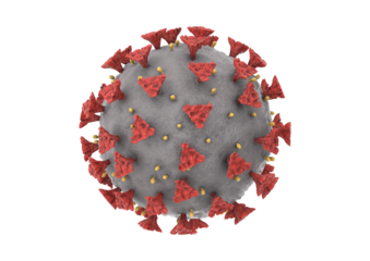 Coronavirus virion isolated on transparent background rendering