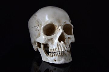 Human skull with reflection on black background