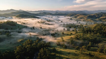 Aerial View of Misty Valley at Sunrise, Golden Light, Serene Landscape.