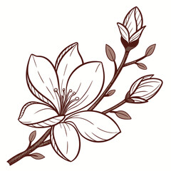 Elegant hand drawn line art illustration of a blooming magnolia flower with buds and leaves on a branch