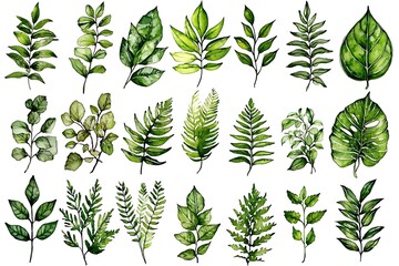 Diverse Watercolor Leaves Collection for Natural Design and Eco-Friendly Projects