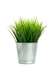 Green grass plant in metallic pot isolated on transparent background