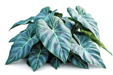 Lush Tropical Green Leaves with White Veins Creating a Verdant Natural Decorative Element