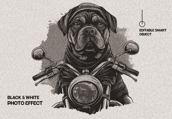 Vintage Photo Effect Design