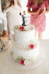bride and groom cake