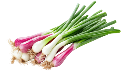 Bunch of Spring Onions with Red and White Bulbs isolated on a transparent background
