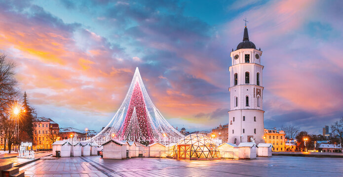 Vilnius, Lithuania. Christmas Tree On Background Bell Tower Belfry Of Vilnius Cathedral At Cathedral Square In Evening New Year Christmas Xmas Illuminations. Unesco World Heritage Site. Altered Sky