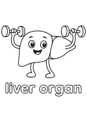 coloring book liver organ lifting dumbbells, exercise anatomy cartoon for kids