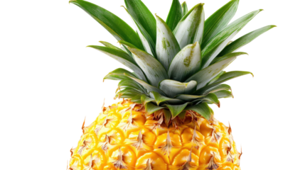 Yellow pineapple with green leaves isolated on a transparent background 