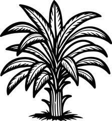 Hand drawn sugarcane plant isolated on white background vintage botanical black ink illustration