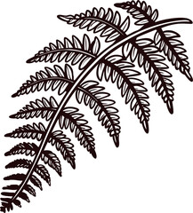Detailed hand drawn fern leaf silhouette isolated on white background botanical illustration, vintage foliage design