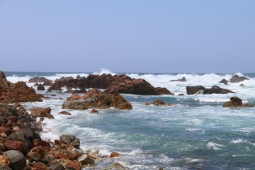 春の佐渡島。藻浦﨑公園。