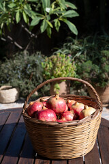 Basket of Ripe Pomegranates in Natural Light