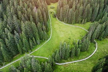 Aerial view showing wooden boardwalk winding through green meadow surrounded by dense evergreen forest, highlighting nature path