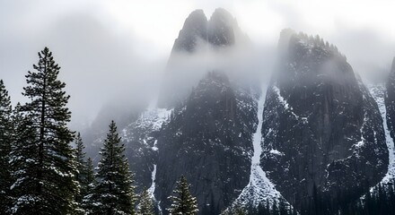Misty Mountains and Pine Forest Landscape.