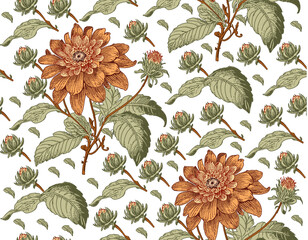 Seamless pattern. Beautiful pink blooming realistic isolated flowers. Vintage background. Set Dahlia wildflowers. Wallpaper. Drawing engraving. Vector victorian Illustration
