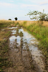 Mokra droga © Ireneusz