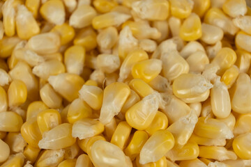 Close-Up Of Fresh Corn Kernels Texture From Above.
