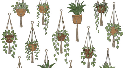 A collection of hanging potted plants in macrame hangers.