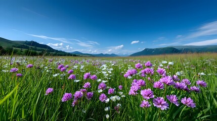 A lush, green meadow filled with a vibrant display of colorful wildflowers, set against the backdrop of towering, snow-capped mountains in a serene, picturesque alpine landscape.