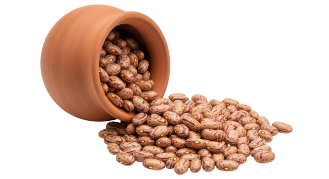 Isolated pinto beans spilled from a clay pot, culinary ingredient for vegan diet