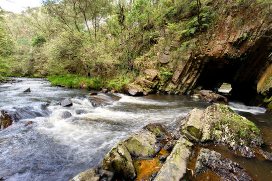 Rapid stream flowing through basalt tunnel surrounded by native forest.
