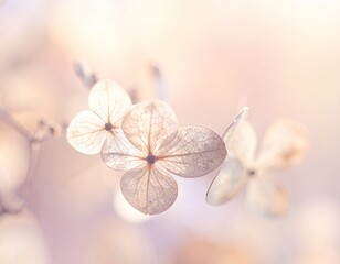 Delicate, dried flower petals in soft pastel hues, bathed in gentle sunlight