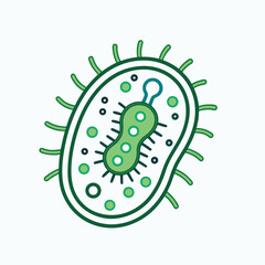 green caterpillar on white background