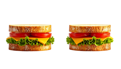 Layered Sandwich Duo Collection  Isolated on Transparent Background