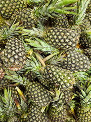 Pineapple at the market