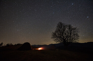 Serene night sky filled with stars stretches over tranquil campsite. Tent and glowing campfire beside solitary, leafless tree. Dark silhouettes of distant mountains provide peaceful backdrop.