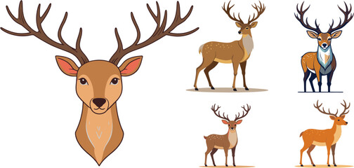 Elegant deer stag head and full body vector illustration set with antlers wildlife animal design for mascot logo outdoor adventure and forest nature decoration