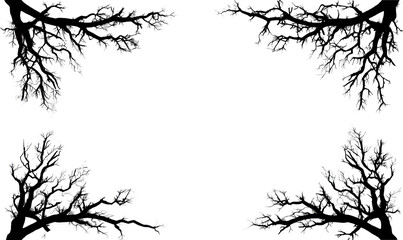 Obraz premium Spooky Forest Clipart Frame with Branches and Decorative Border Isolate on Transparent Background, cutout, png
