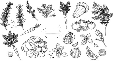 Fototapeta premium A collection of fresh herbs and vegetables, including rosemary, basil, garlic, carrots, and tomatoes, perfect for culinary and design projects