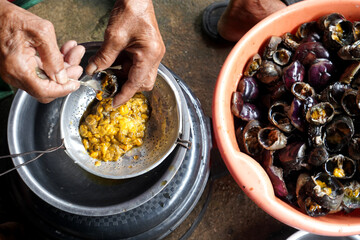 Crab fat, a Thai food made from field crabs