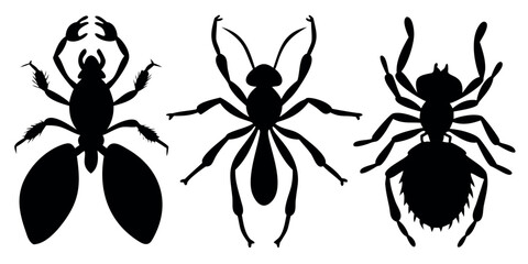 Vector Silhouette Set of Insects Spider Ant and Beetle