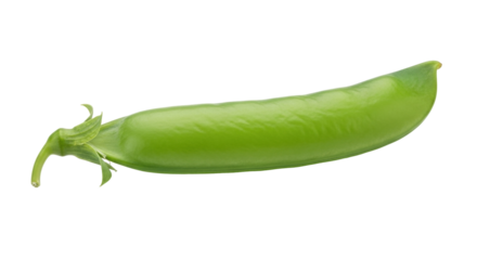 Isolated Bright-Green Sugar Snap Pea Pod Curving with Pointed End, Sweet, Tender Snack Food
