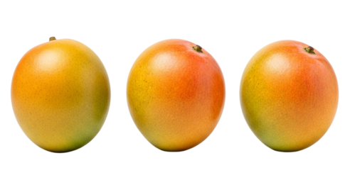  Mango Trio in a Straight Row with Equal Spacing White Background.png