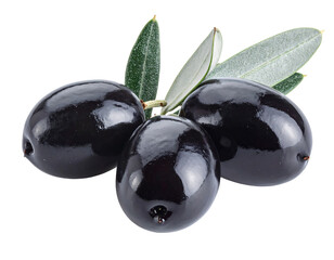 Three ripe black olives with leaves isolated on transparent background