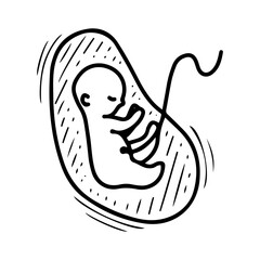 Baby in the womb. Hand drawn doodle vector. Medical examination of pregnant woman. Ultrasound image. Child, childbirth, umbilical cord. Line art illustration.