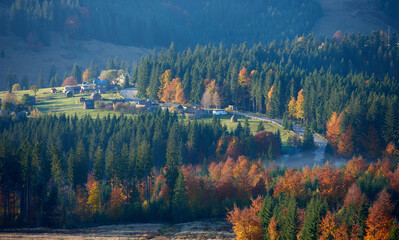 Charming village nestled in valley, surrounded by dense forest of evergreens and deciduous trees in full autumn colors. Winding roads and quaint houses dot landscape, with morning mist.