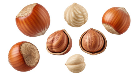 Isolated Hazelnuts Assortment, Some Shelled and Some in Shell, Delicious Snacks, Healthy Treats